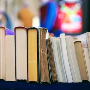 Agenda diaria Lino